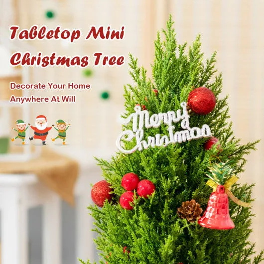 18.5 Inch Tabletop Artificial Christmas Tree with 170 PE Branches and Pulp Stand