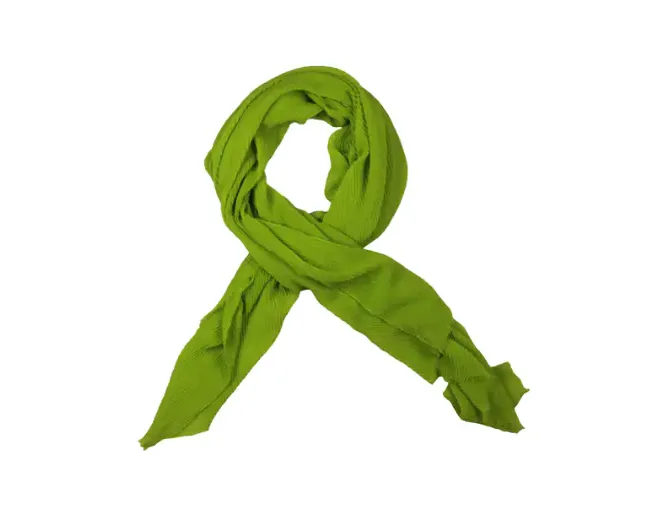 BCBGMAXAZRIA Women's Winter Light weight Scarf Pashmina in Bright Chartreuse