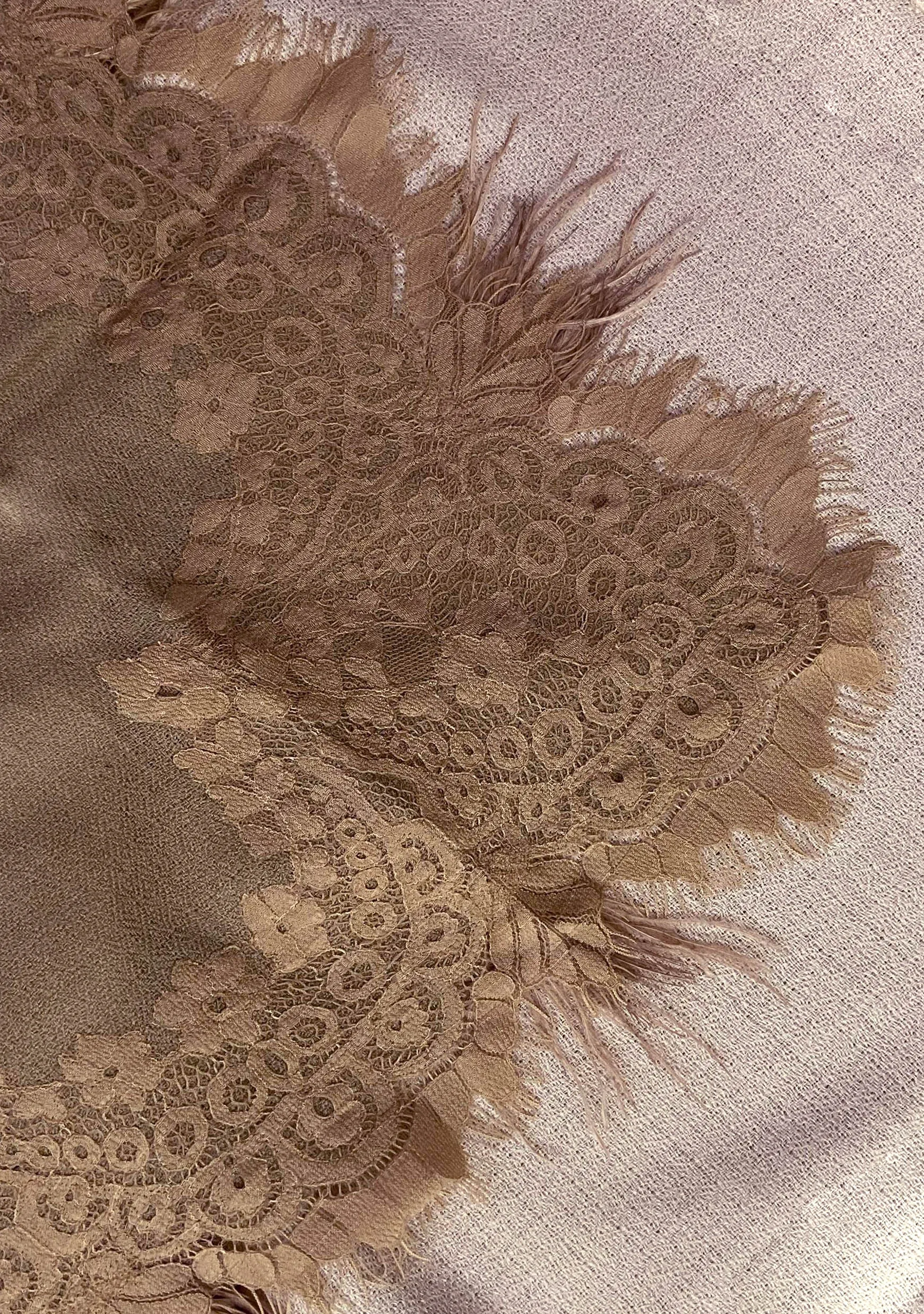 Beige Ombre Cashmere Scarf with a Dk. Beige Chantilly Lace Border & Beige Ostrich Feathers