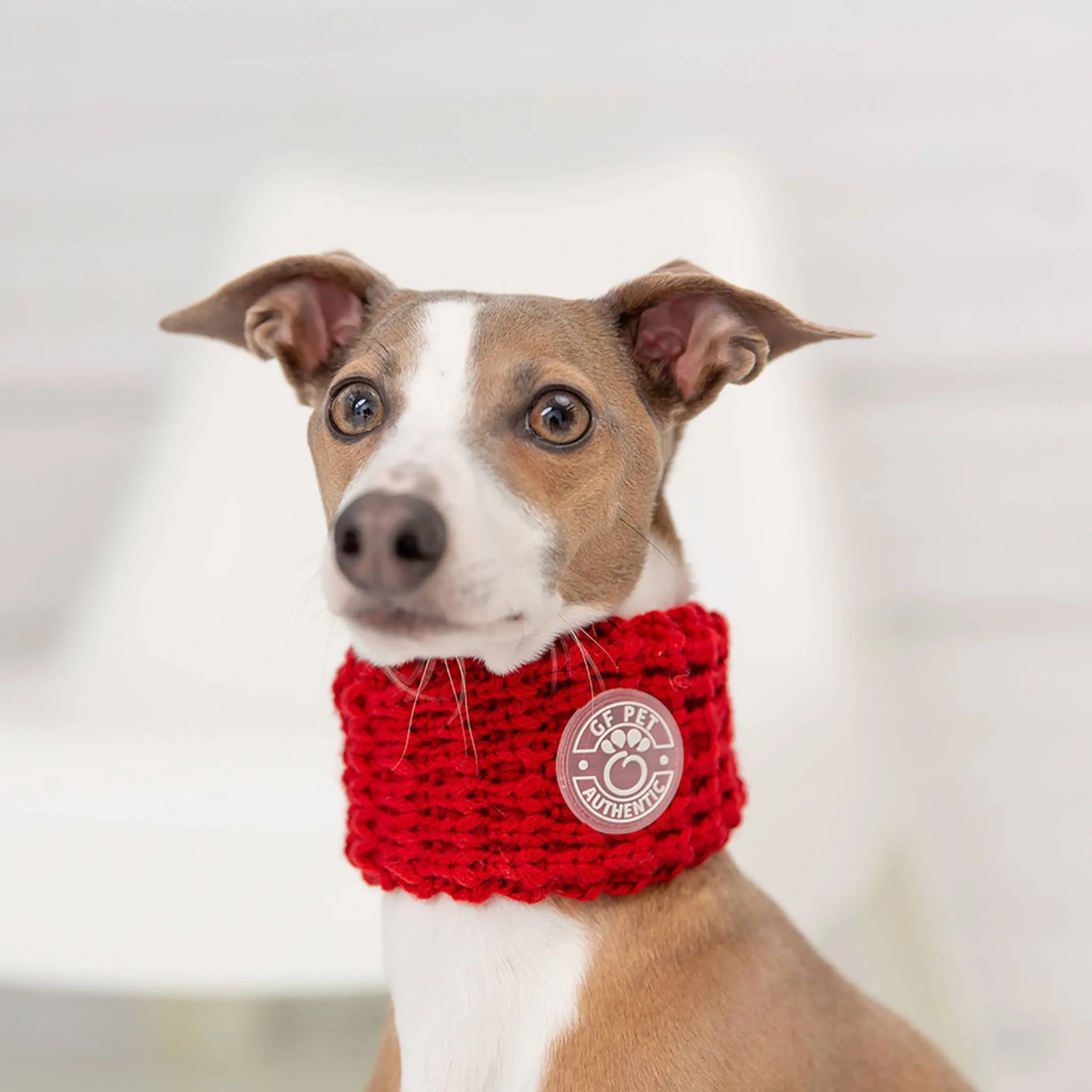 Chalet Tube Dog Scarf - Red