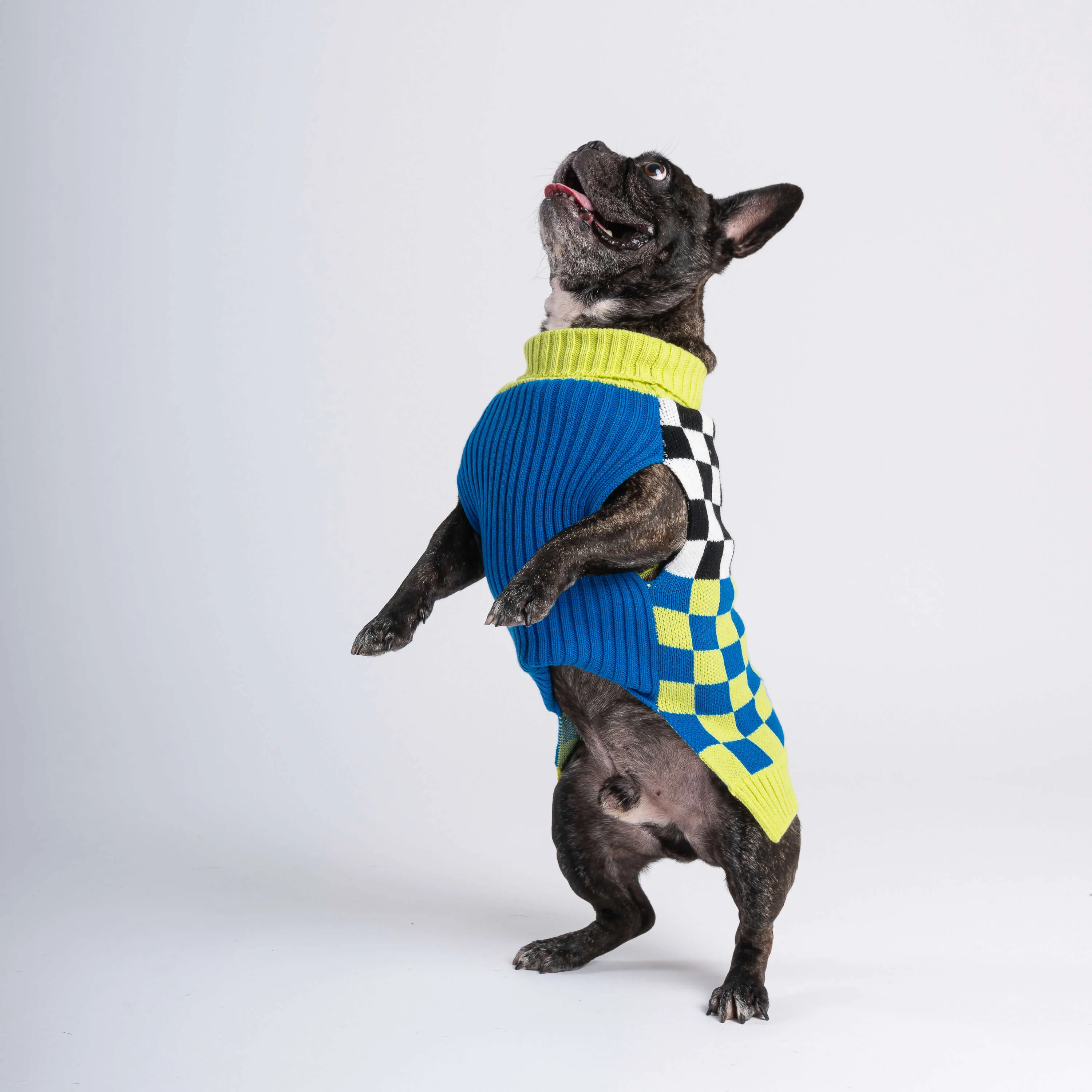 Checkerboard Dog Sweater