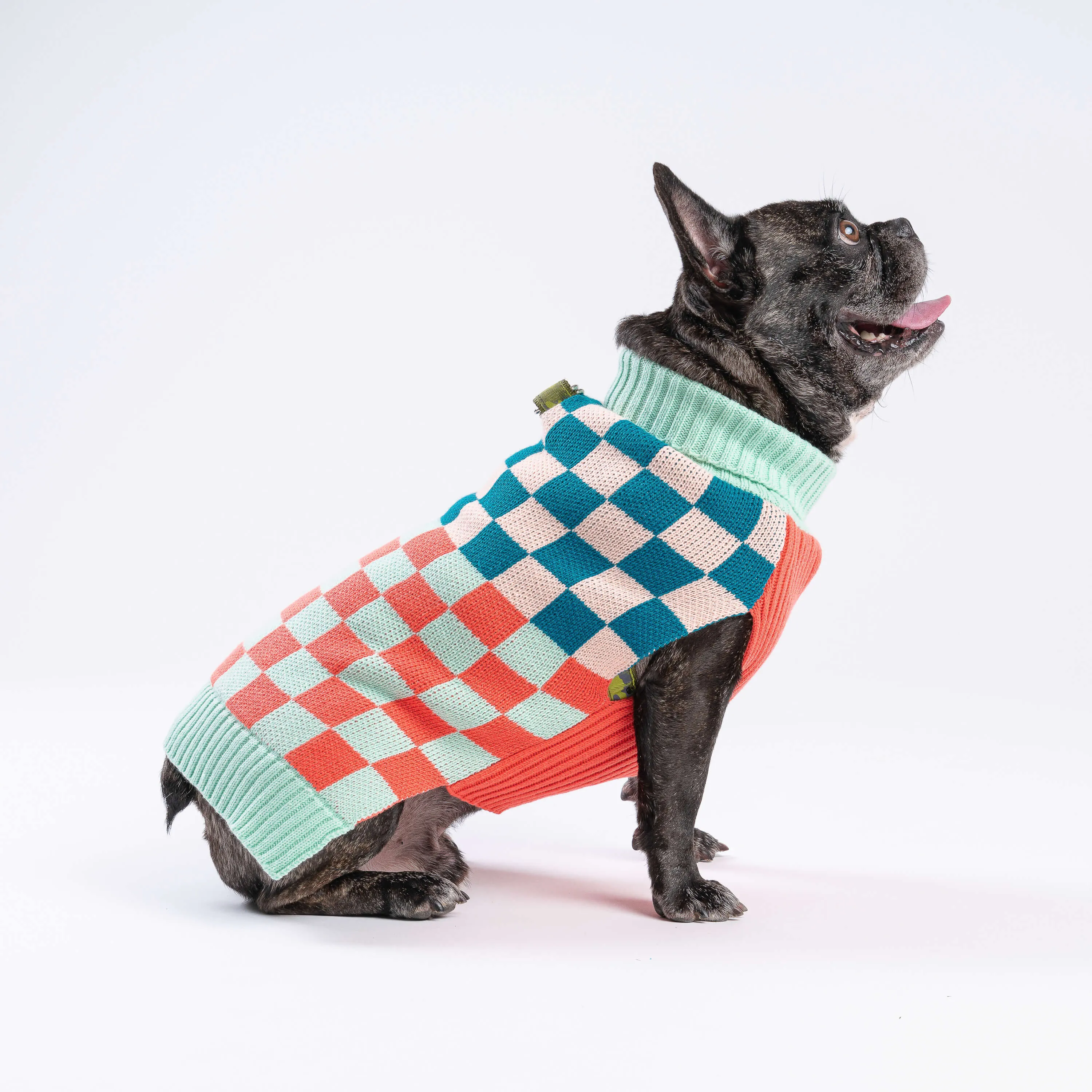 Checkerboard Dog Sweater