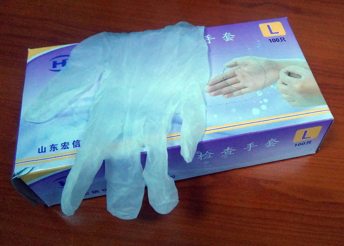 Vinyl Disposable Gloves (Large) - Powder Free